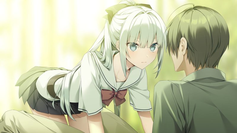 图片[10]-【安卓+电脑+krkr】银花-GINKA-ACG游戏社