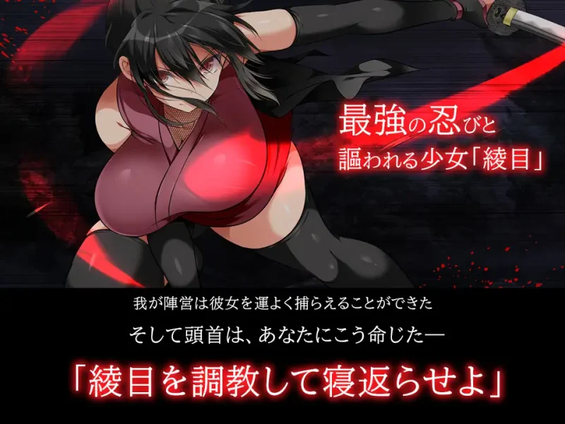 【电脑】忍堕－女忍调教-ACG游戏社