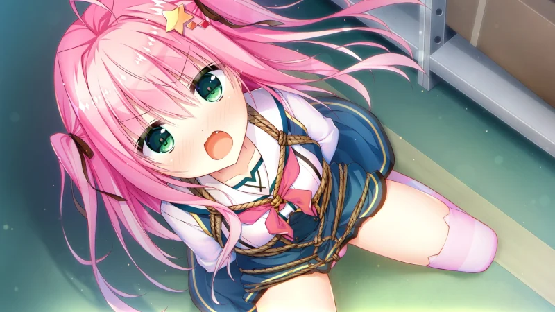 图片[3]-【电脑+Ty】天选庶民的真命之选-セレクトオブリージュ-ACG游戏社