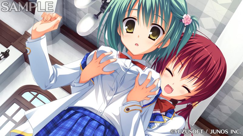 图片[4]-【安卓+电脑+krkr】NOBLE☆WORKS-のーぶる☆わーくす-ACG游戏社