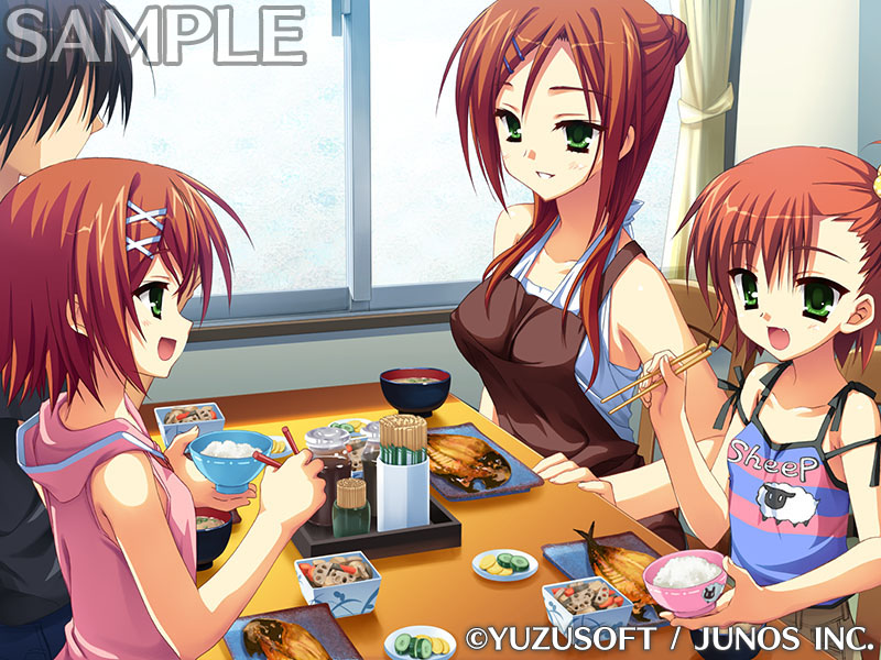 图片[4]-【安卓+电脑+krkr】夏空彼方-夏空カナタ-ACG游戏社