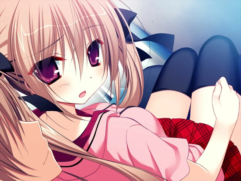 图片[2]-【安卓+电脑+ONS】妹调教日记FD  Sister training diaryFD  こんなツンデレが俺の妹なわけないFD-ACG游戏社