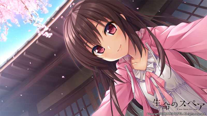 图片[2]-【安卓+电脑+krkr】生命的备件 – 生命的备份-ACG游戏社